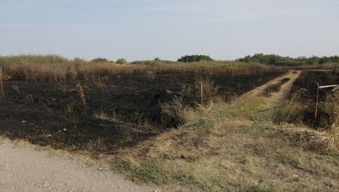 USPEŠAN ULOV: Lovci iz požara spasli 400 fazana