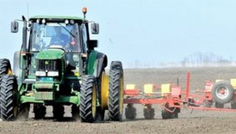 СЕТВА КУКУРУЗА УСПОРЕНА: Колебања априлских температура неповољно утичу на пољопривредне радове