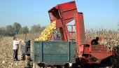 IRAN TRAŽI SRPSKI KUKURUZ: Skupštinski odbor za poljoprivredu usvojio sporazum o saradnji
