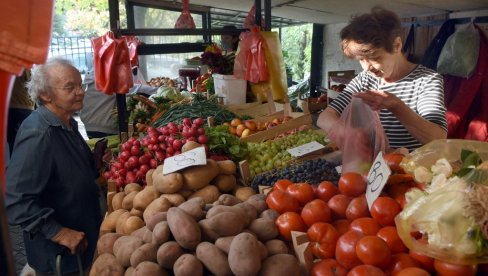 CRVENE SE CENE PARADAJZA: Kilogram paradajza i do 220 dinara
