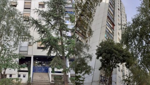 СЕДАМ МИЛИОНА ЗА ЛИФТ У СОЛИТЕРУ: ЈП Градско стамбено расписало тендер за поправку и замену постројења