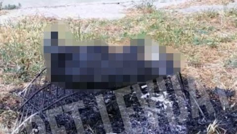 ЈЕЗИВА ФОТОГРАФИЈА УЗНЕМИРИЛА СРБИЈУ: Дивљаштво у Чачку, мачку жицом везали за решетку, па је спржили (УЗНЕМИРУЈУЋИ ФОТО)