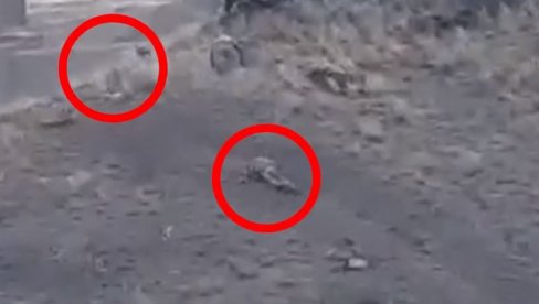 АЗЕРБЕЈЏАНЦИ ПАНИЧНО БЕЖЕ У ПЛАНИНЕ: Јермени разбили офанзиву непријатеља, објављени нови снимци (ВИДЕО)