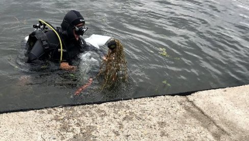 СА ДНА ИЗНЕТО ПЕТ ЏАКОВА ОТПАДА: Рониоци чистили Савско језеро