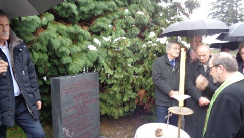 СЛАВА СЛАВНОМ ЗЕМЉАКУ: Цвијићеви дани у Лозници