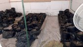 ПОЛИЦИЈА ПРОВАЛИЛА У ЛАБОРАТОРИЈУ МАРИХУАНЕ У ЗЕМУНУ: Погледајте фотографије велике заплене београдске полиције (ФОТО)
