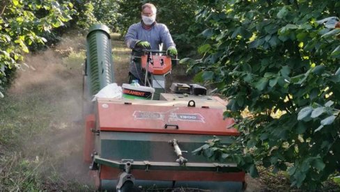 RAČUNAR VIKENDOM ZAMENI MOTIKOM: Ognjan Ilić (42), inženjer informacionih tehnologija, radi dva posla na relaciji Novi Sad- Požarevac (FOTO)