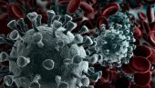 ШВЕЂАНИ ПРИЗНАЛИ: Нема колективног имунитета од корона вируса
