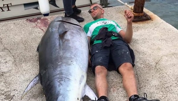 ЦАРСКИ УЛОВ: Будвански рибари упецали туну од два метра