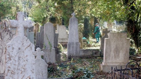 PARK UMESTO PRAŠUME: Staro groblje na teritoriji GO Palilula bi uskoro trebalo da postane ponos svih Nišlija