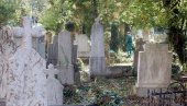 ПАРК УМЕСТО ПРАШУМЕ: Старо гробље на територији ГО Палилула би ускоро требало да постане понос свих Нишлија