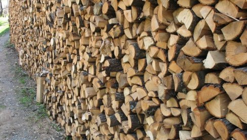 NE ISPLATI SE BESPRAVNO SEĆI DRVA: U Pirotu oduzeto 148 kubika ogrevnog drveta