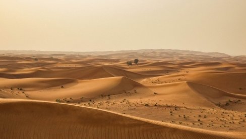 NEVEROVATNO NAUČNO OTKRIĆE: Satelitskim snimcima otkriveno da su afričke pustinje ispunjene drvećem!
