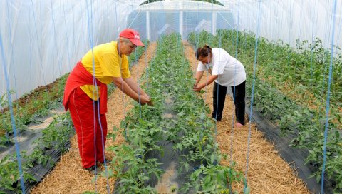 ЗАКОН О УРЕЂЕЊУ ТРЖИШТА: Министарство пољопривреде спрема промене