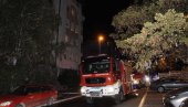 GORI STAN NA NOVOM BEOGRADU: Vatrogasci se bore sa požarom