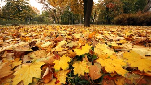 DOŠAO JE KRAJ LETA: Meteorolog Čubrilo otkrio kakva je jesen pred nama, ali i kad počinje - Stiže hladno vreme!