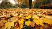 ДОШАО ЈЕ КРАЈ ЛЕТА: Метеоролог Чубрило открио каква је јесен пред нама, али и кад почиње - Стиже хладно време!