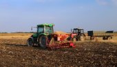 UDRUŽENJE ŽITA SRBIJE:  Pšenica na 600.000 hektara, setva jeftinija nego prethodnih godina