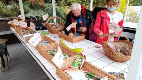 ТРАМПИЛИ ПЕЛЦЕРЕ ОРГАНСКИХ СОРТИ: Велико интересовање за манифестацију Иди у першун