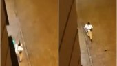 ОВО ЈЕ ТЕРОРИСТА ИЗ БЕЧА: Погледајте снимак тренутка напада на синагогу - обучен у бело, почео је да пуца и потрчао (ВИДЕО)