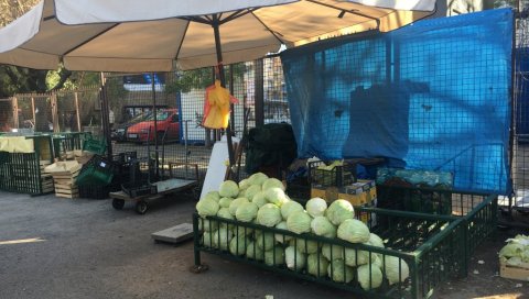 КУПУС НА ВЕЛИКО КОШТА 35 ДИНАРА: На Зеленим пијацама и око њих највише се продаје поврће за туршију