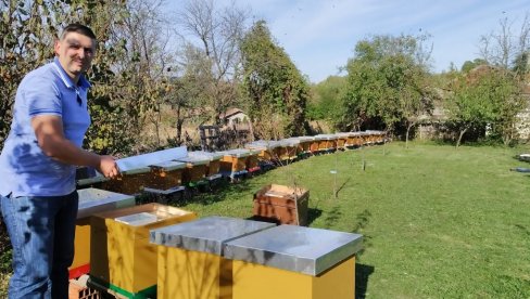 BAGREMOV MED ZA MEDALJE: Aleksandar Stevanović (33) iz Paraćina, pet godina se bavi pčelarstvom i sakuplja nagrade