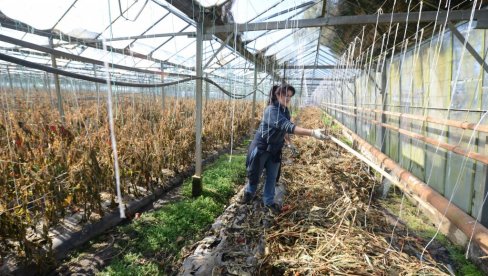 MEĐUSOBNO PRIZNANJE ZA ORGANSKE SERTIFIKATE: Ministarstva poljoprivrede Srbije i Republike Srpske dogovorila saradnju