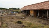 АЛЕКСИНА БАШТА ВЕЛИКОГ СРЦА: Фарма органских кока код Суботице спајила здраво и хумано