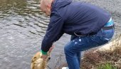 IZVUKAO PSA IZ LEDENE CRNICE: Bravo za Vranjanca nastanjenog u Paraćinu