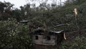 OLUJA JOTA RAZORILA CENTRALNU AMERIKU: Dečak poginuo kada je na njega palo stablo, ljudi su ostali bez svojih domova (FOTO)