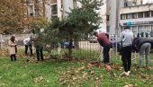 SADNICE NA POKLON Drveće zasađeno u osam školskih dvorišta u Smederevu