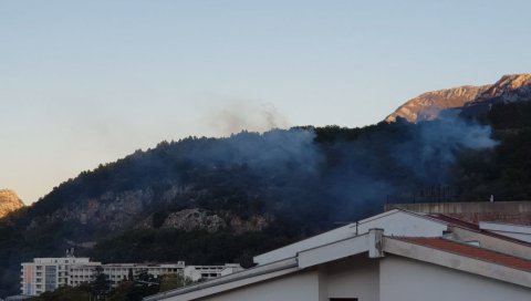 25 ВАТРОГАСАЦА СЕ БОРИЛО СА СТИХИЈОМ: Велики пожар у Сутомору за сада под контролом (ФОТО)