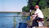 VODE SVE MANJE, RIBA IZUMIRE: Alarmantna situacija na ribolovačkom jezeru u Čonoplji, nadomak Sombora