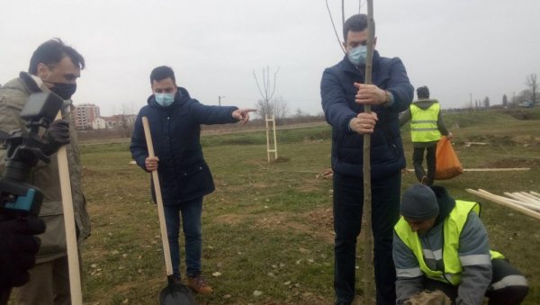 АКЦИЈА ЗЕЛЕНА СРБИЈА: Градоначелник и председник скупштине посадили саднице јасена