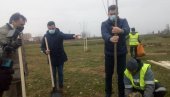 AKCIJA ZELENA SRBIJA: Gradonačelnik i predsednik skupštine posadili sadnice jasena