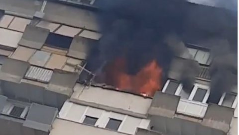 ПОЖАР НА ВРХУ НОВОСАДСКОГ СОЛИТЕРА: Ватра прогутала станове на 14. и 15 спрату зграде, ватрогасци на терену (ВИДЕО)