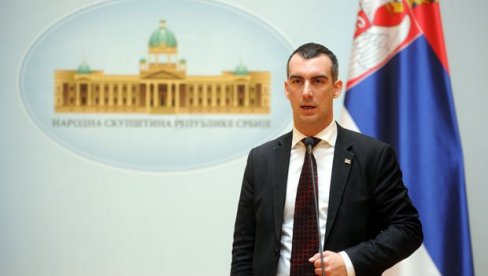 RAZUMEJU NAPORE SRBIJE: Orlić Važan uzdržan stav Južne Koreje po pitanju KiM