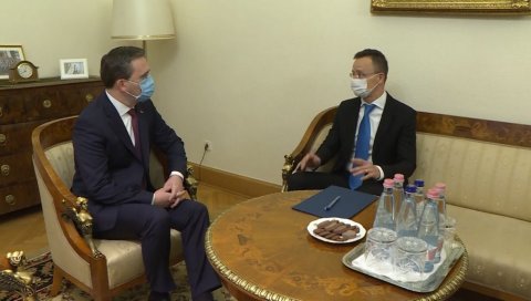 ОД МАЂАРСКИХ ФИРМИ 130 МИЛИОНА €: Шеф дипломатије Никола Селаковић током посете Будимпешти најавио улагања