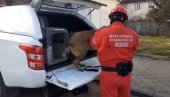 SNIMAK SA LICA MESTA: Policija u akciji potrage za Milicom i Stefanom - uključeni i psi (VIDEO)