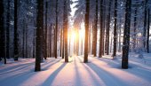 ЗАБЕЛЕЛА СЕ И ЦРНА ГОРА: На Жабљаку скоро метар снега (ФОТО)