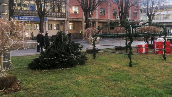 ВЕТАР СРУШИО ЈЕЛКУ: Невреме протутњало краљевачким крајем