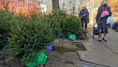 JELKE SA BUSENOM I DO 5.000 DINARA: Iako je do Nove godine ostalo samo još dva dana novogodišnja stabla se i dalje prodaju