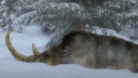 ФАНТАСТИЧНО ОТКРИЋЕ У СИБИРУ: Пронађена савршено очувана праисторијска звер у леду Јакутије (ВИДЕО)