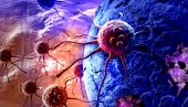 OTKRIVEN JOŠ JEDAN SOJ KORONA VIRUSA: Nova mutacija proteina šiljka zabrinula naučnike, za sada prisutan u 10 zemalja