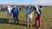 ЈЕДИНСТВЕНИ ОБИЧАЈ У МОКРИНУ: Традиција је непрекинута, одржана Божићна трка на неоседланим коњима (ФОТО)