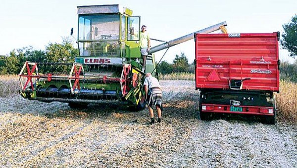 ШКОЛУ ВОЛИМ, АЛ ЈЕДВА ЧЕКАМ ДА СЕДНЕМ НА ТРАКТОР: Александар Савић, професор географије, обрађује чак 85 хектара, али планира магичних сто