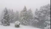 НА АВАЛИ ПРАВА ЗИМСКА ИДИЛА: И Снешко поштује епидемиолошке мере,  има - маску! (ФОТО)