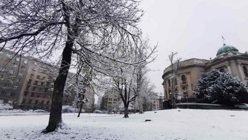 RHMZ IZDAO UPOZORENJE ZBOG KOLIČINE PADAVINA: U Beogradu pao prvi sneg (FOTO)