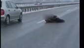 TUŽNO: Iza šokantnog prizora na auto-putu se krije teška priča, evo zašto je čovek ležao na kolovozu (VIDEO)