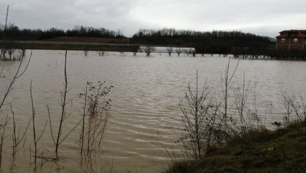 ДРАМАТИЧНЕ СЦЕНЕ, ЊИВЕ СЕ НЕ ВИДЕ ОД ВОДЕ: Тешка ситуација код Бујановца, нема оранице која није поплављена (ФОТО/ВИДЕО)